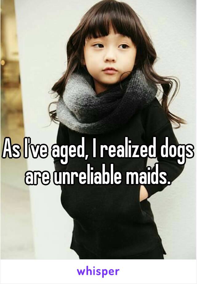 As I've aged, I realized dogs are unreliable maids. 