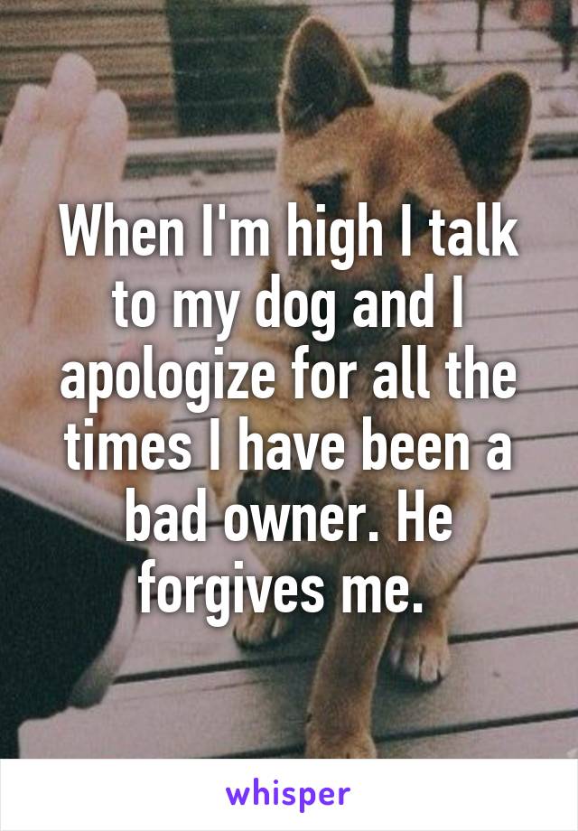 When I'm high I talk to my dog and I apologize for all the times I have been a bad owner. He forgives me. 