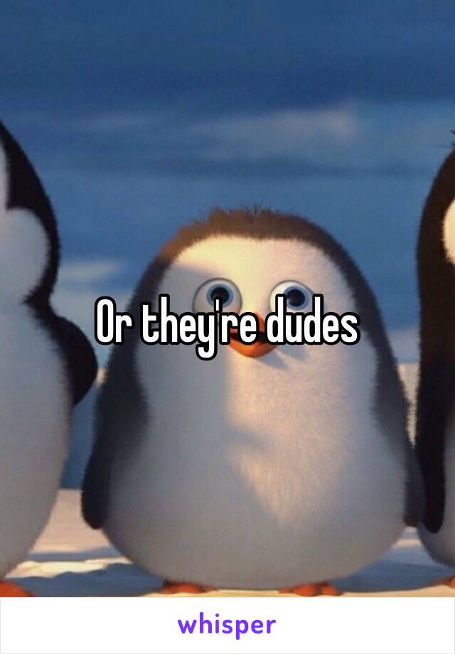 Or they're dudes