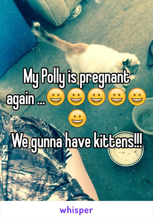 My Polly is pregnant again ...😀😀😀😀😀😀
We gunna have kittens!!!