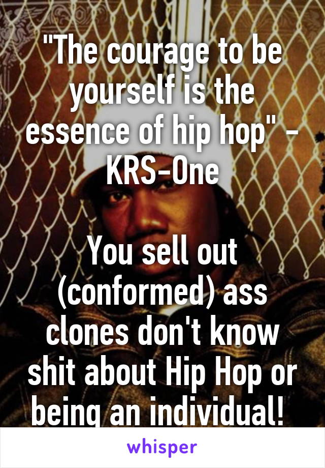 "The courage to be yourself is the essence of hip hop" - KRS-One

You sell out (conformed) ass clones don't know shit about Hip Hop or being an individual! 