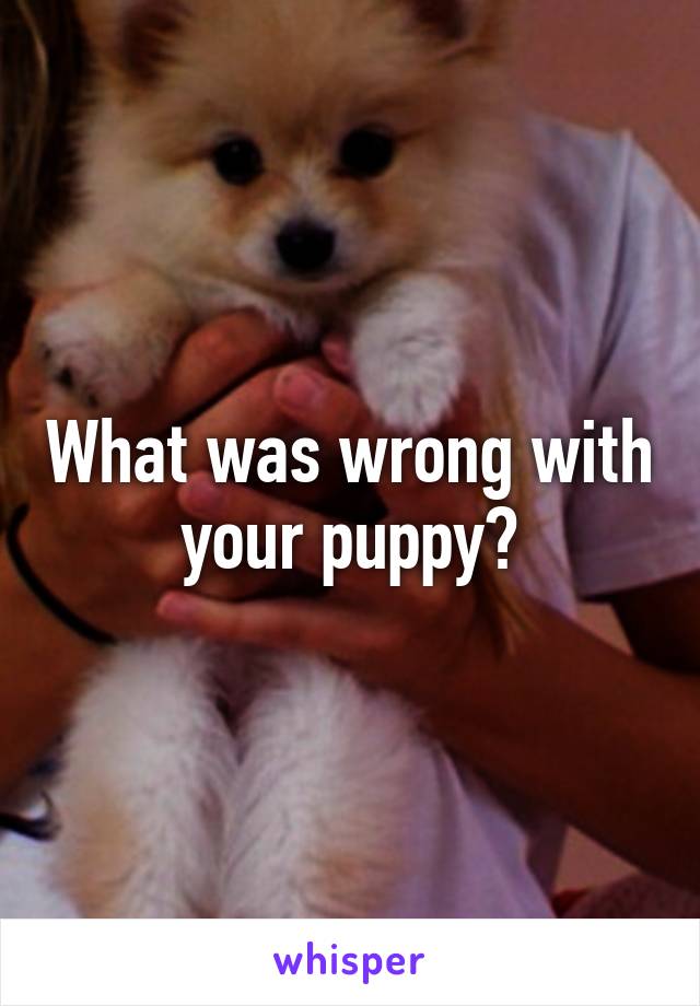 What was wrong with your puppy?