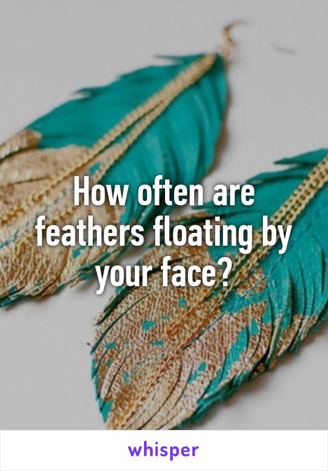 How often are feathers floating by your face?