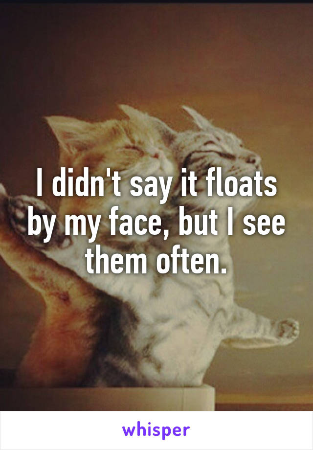 I didn't say it floats by my face, but I see them often.