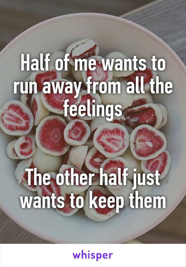 Half of me wants to run away from all the feelings


The other half just wants to keep them