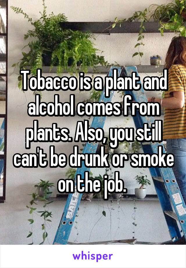 Tobacco is a plant and alcohol comes from plants. Also, you still can't be drunk or smoke on the job. 