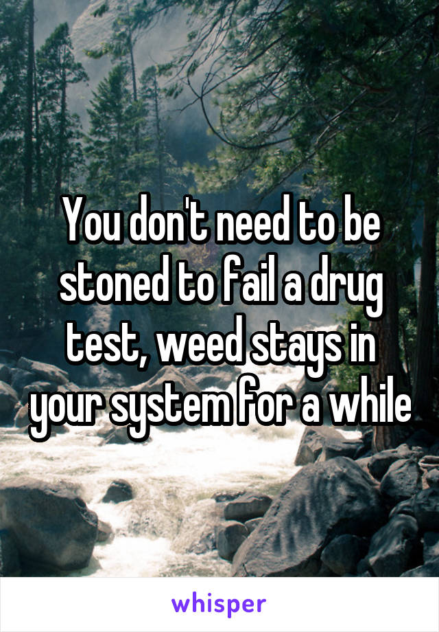 You don't need to be stoned to fail a drug test, weed stays in your system for a while