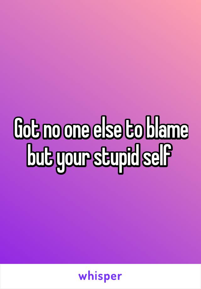 Got no one else to blame but your stupid self 