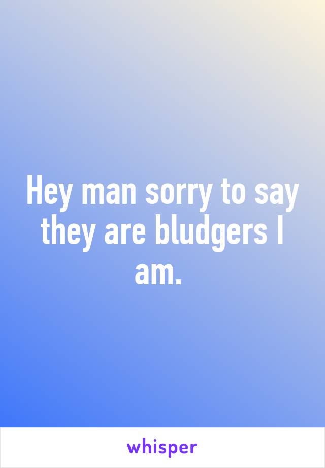 Hey man sorry to say they are bludgers I am. 