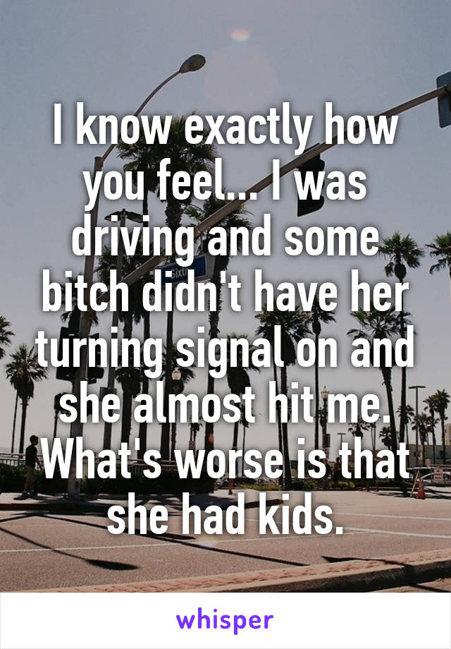 I know exactly how you feel... I was driving and some bitch didn't have her turning signal on and she almost hit me. What's worse is that she had kids.