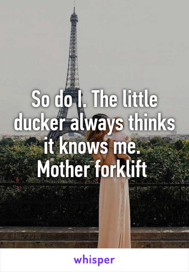 So do I. The little ducker always thinks it knows me. 
Mother forklift 