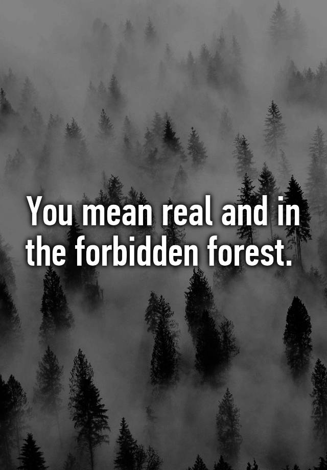 4865-the-forbidden-forest-brickipedia-fandom