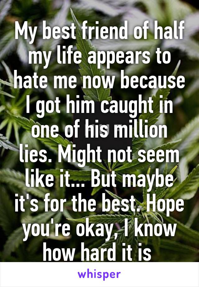 My best friend of half my life appears to hate me now because I got him caught in one of his million lies. Might not seem like it... But maybe it's for the best. Hope you're okay, I know how hard it is 