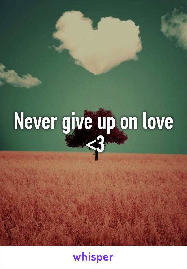 Never give up on love  <3