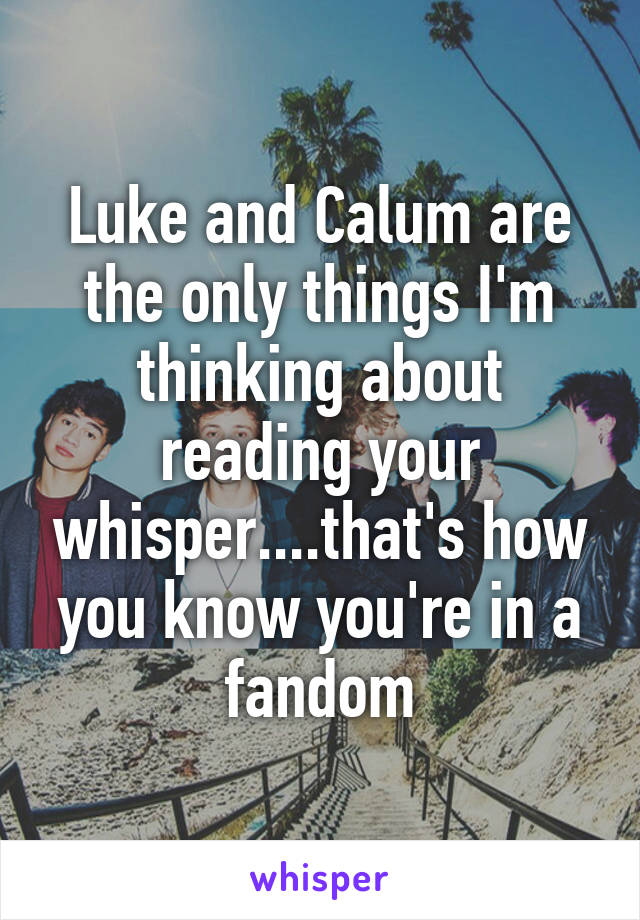 Luke and Calum are the only things I'm thinking about reading your whisper....that's how you know you're in a fandom