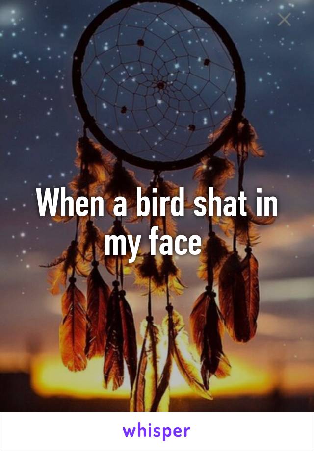 When a bird shat in my face 
