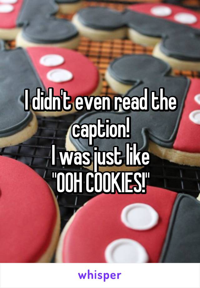 I didn't even read the caption!
I was just like
"OOH COOKIES!"