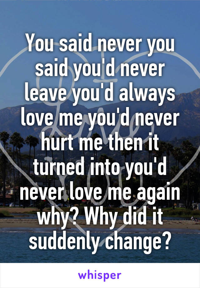 You said never you said you'd never leave you'd always love me you'd never hurt me then it turned into you'd never love me again why? Why did it suddenly change?