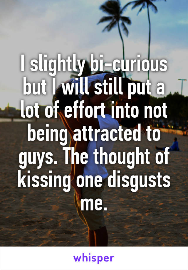 I slightly bi-curious but I will still put a lot of effort into not being attracted to guys. The thought of kissing one disgusts me.