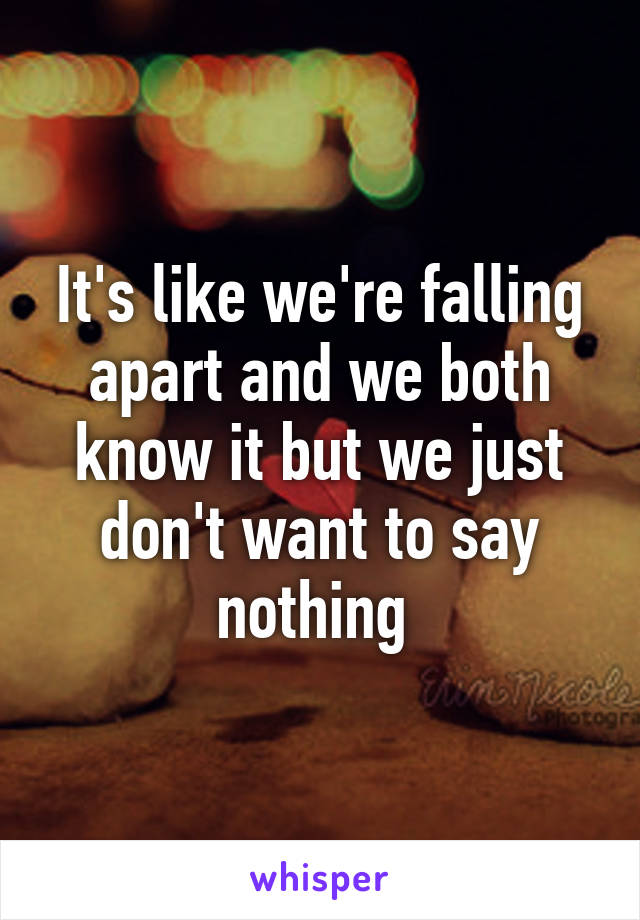 It's like we're falling apart and we both know it but we just don't want to say nothing 