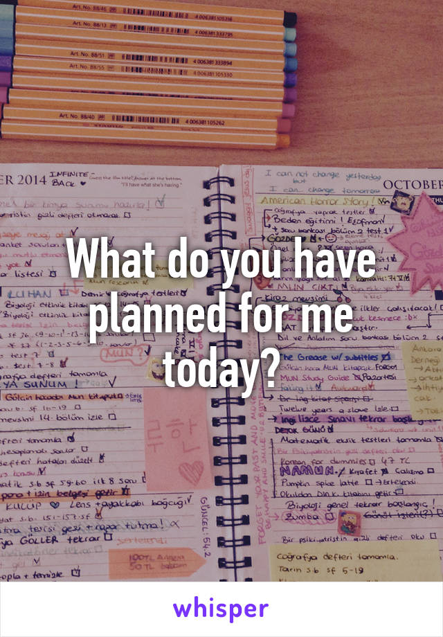 What do you have planned for me today?