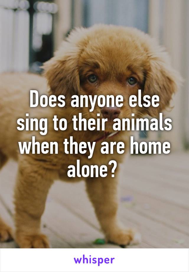 Does anyone else sing to their animals when they are home alone? 