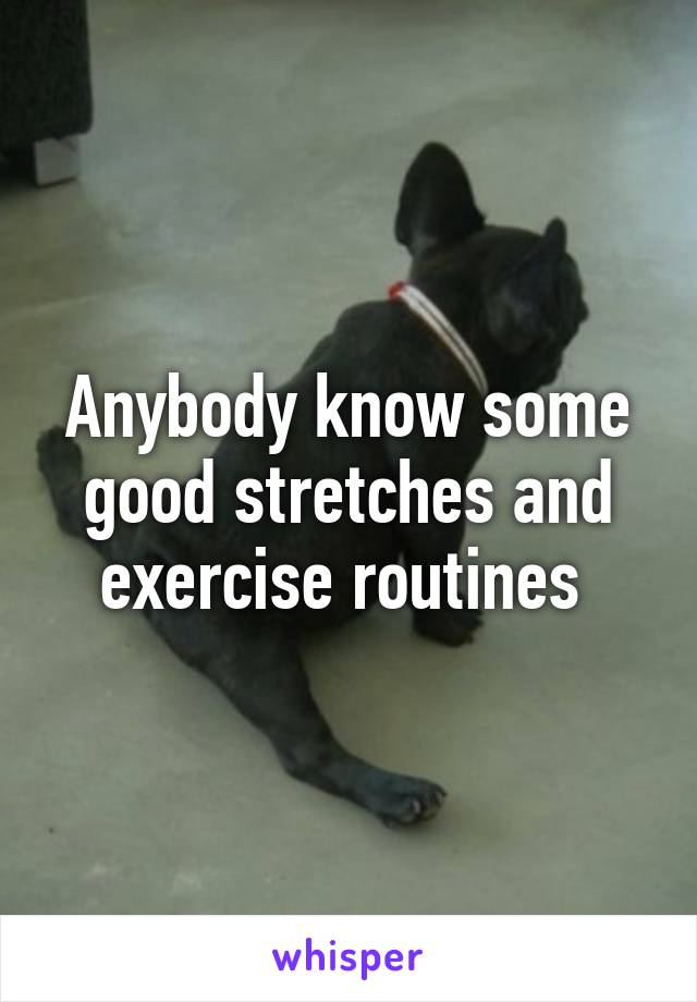 Anybody know some good stretches and exercise routines 