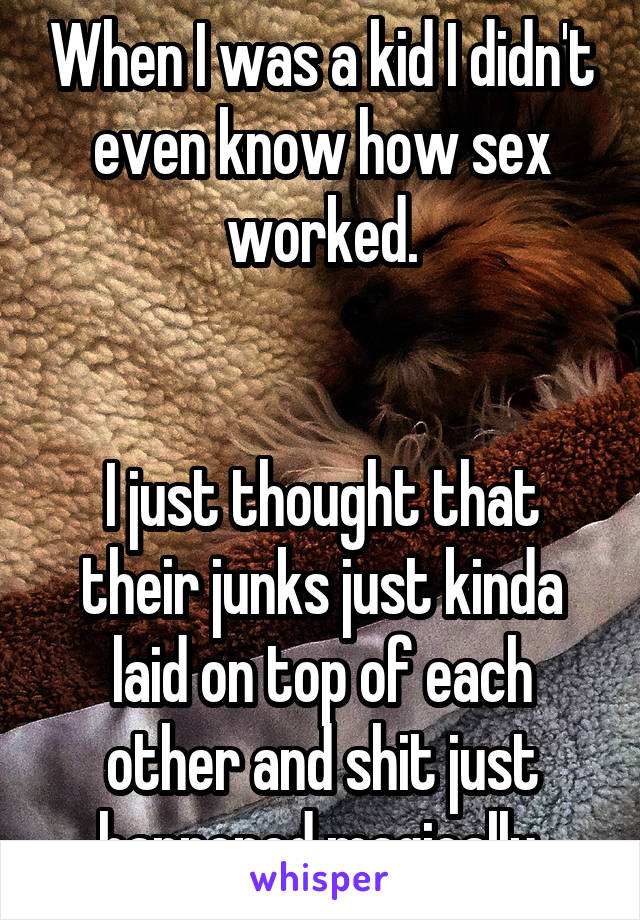 When I was a kid I didn't even know how sex worked.


I just thought that their junks just kinda laid on top of each other and shit just happened magically.