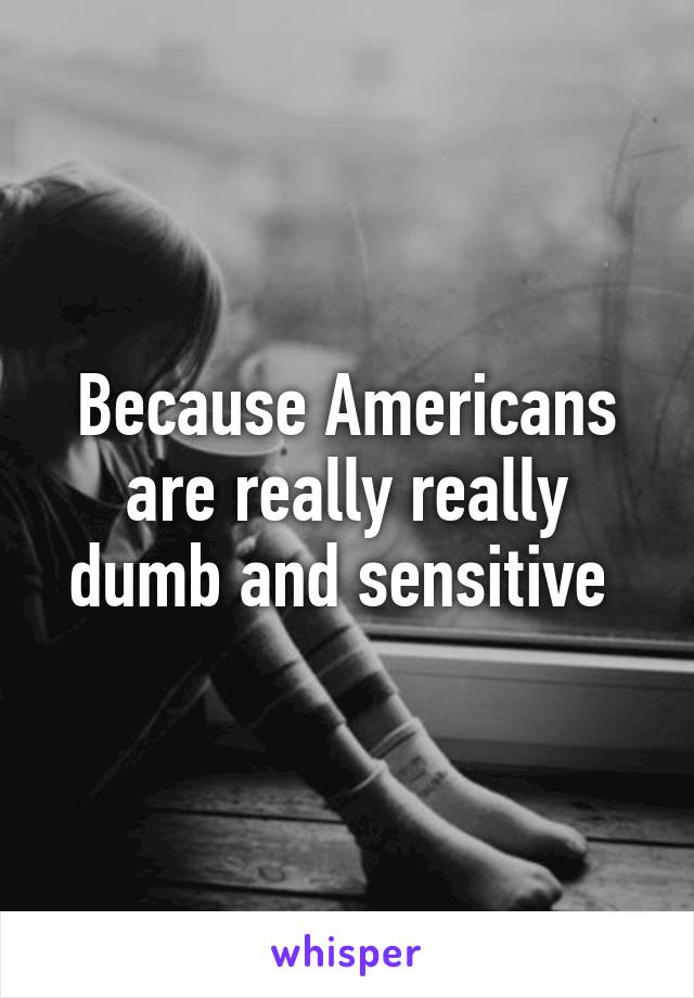 Because Americans are really really dumb and sensitive 