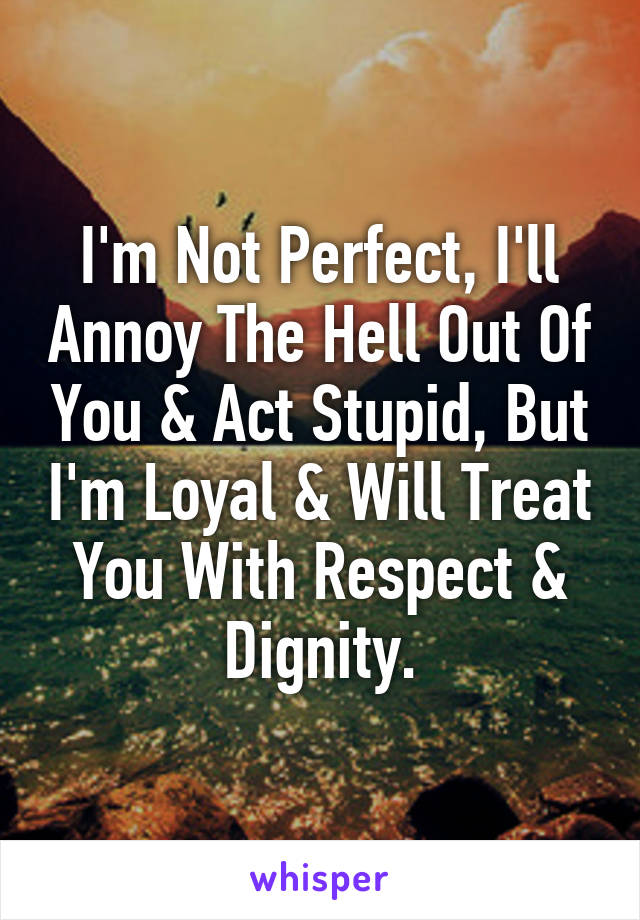 I'm Not Perfect, I'll Annoy The Hell Out Of You & Act Stupid, But I'm Loyal & Will Treat You With Respect & Dignity.