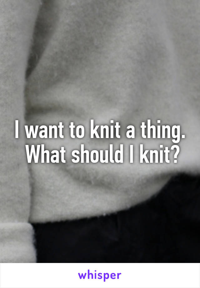 I want to knit a thing.
 What should I knit?