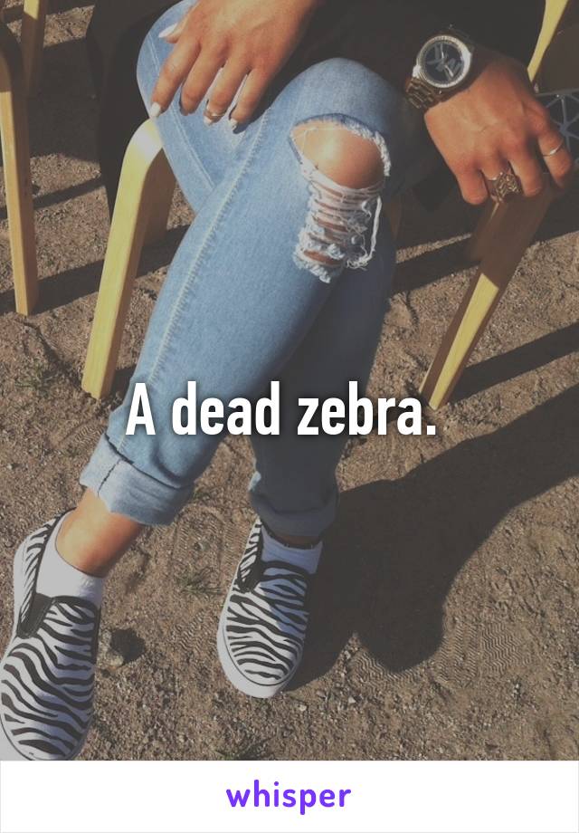 A dead zebra. 