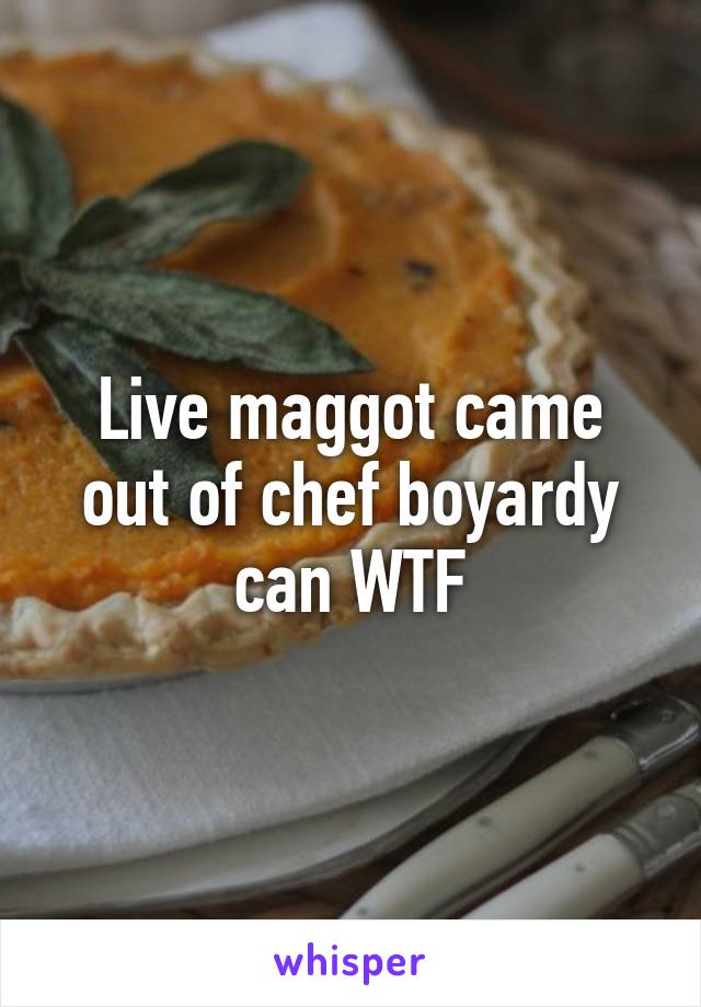 Live maggot came out of chef boyardy can WTF