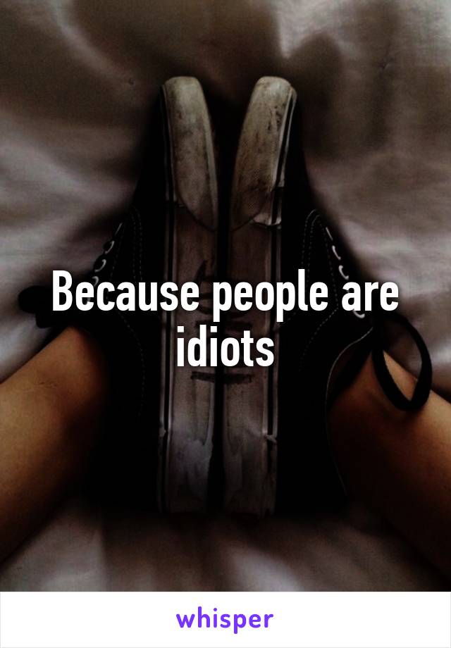 Because people are idiots