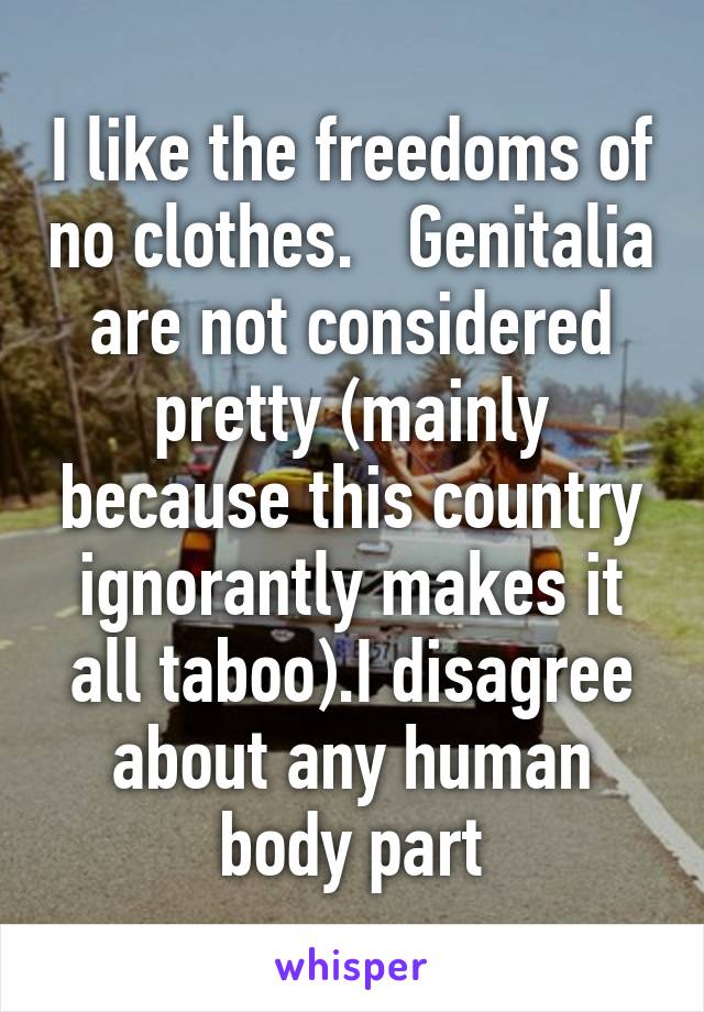 I like the freedoms of no clothes.   Genitalia are not considered pretty (mainly because this country ignorantly makes it all taboo).I disagree about any human body part