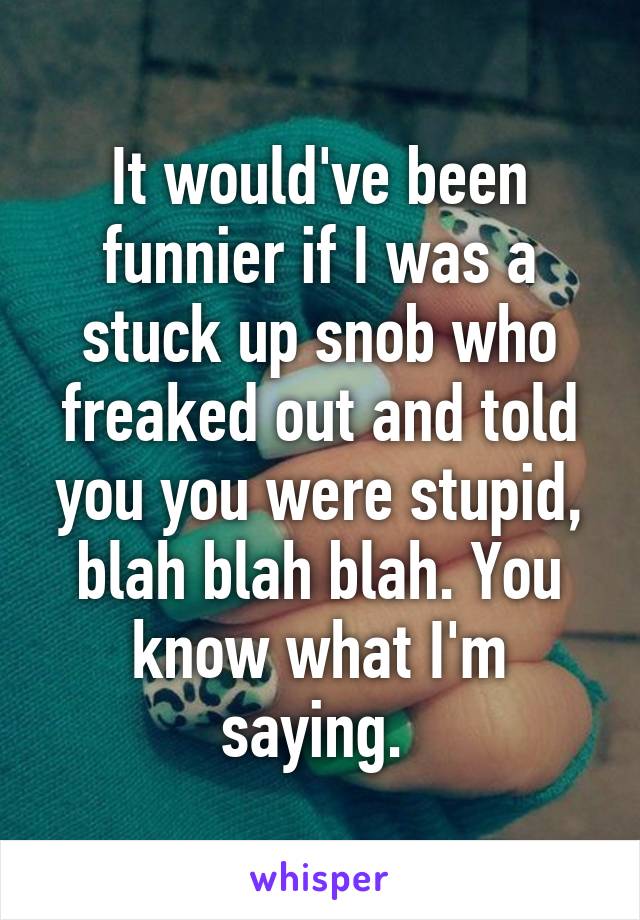 It would've been funnier if I was a stuck up snob who freaked out and told you you were stupid, blah blah blah. You know what I'm saying. 