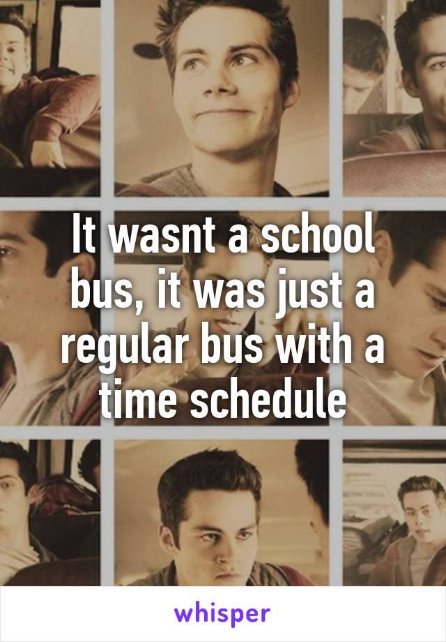 It wasnt a school bus, it was just a regular bus with a time schedule