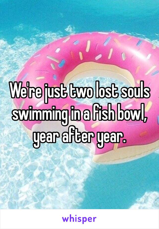 We're just two lost souls swimming in a fish bowl, year after year. 