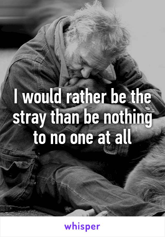 I would rather be the stray than be nothing to no one at all