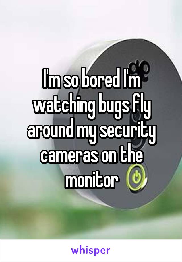 I'm so bored I'm watching bugs fly around my security cameras on the monitor