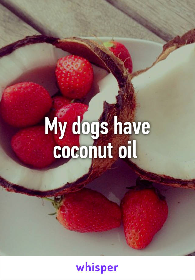 My dogs have coconut oil 