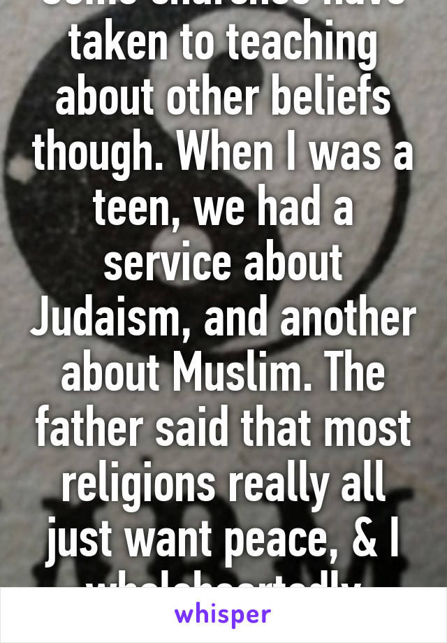 Some churches have taken to teaching about other beliefs though. When I was a teen, we had a service about Judaism, and another about Muslim. The father said that most religions really all just want peace, & I wholeheartedly agree.