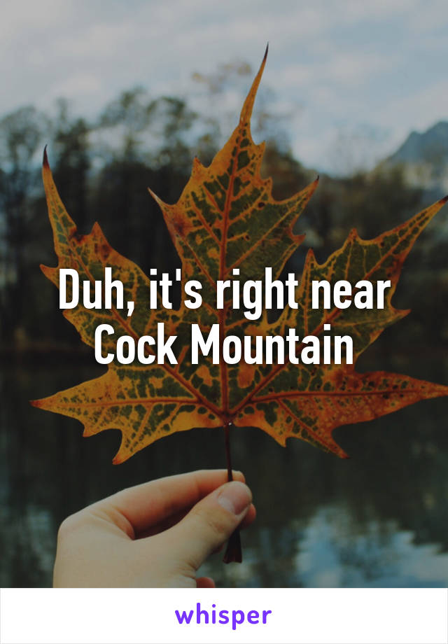 Duh, it's right near Cock Mountain