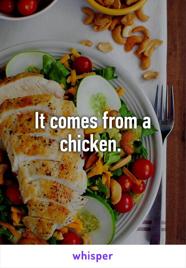 It comes from a chicken. 