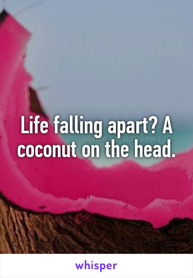 Life falling apart? A coconut on the head.