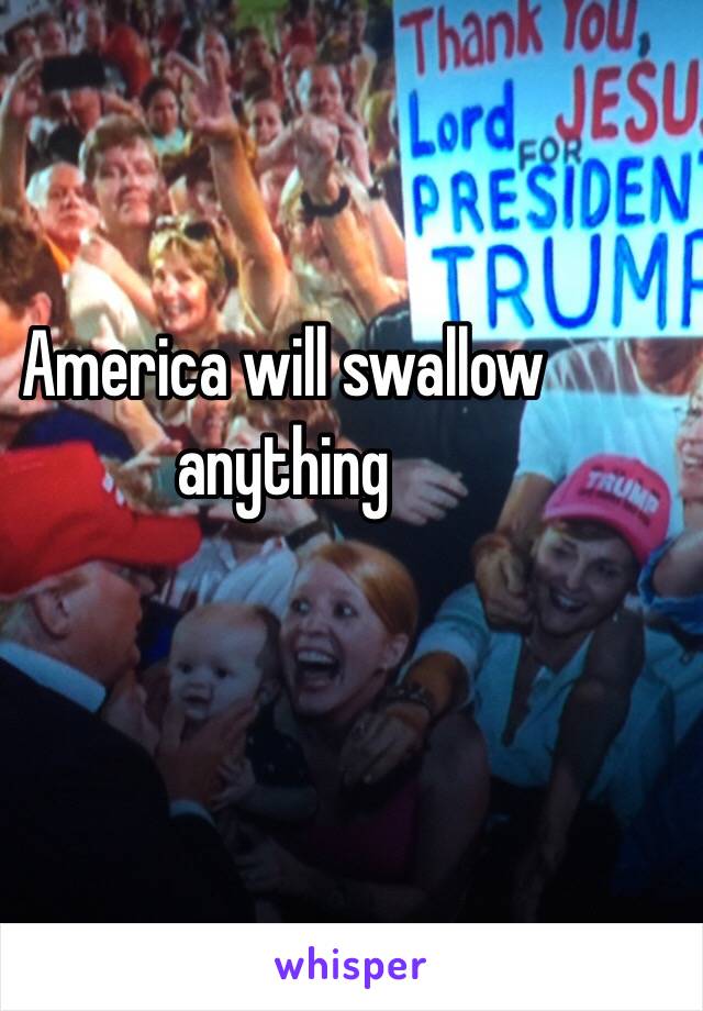 America will swallow anything 