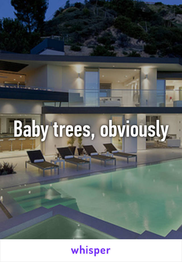 Baby trees, obviously