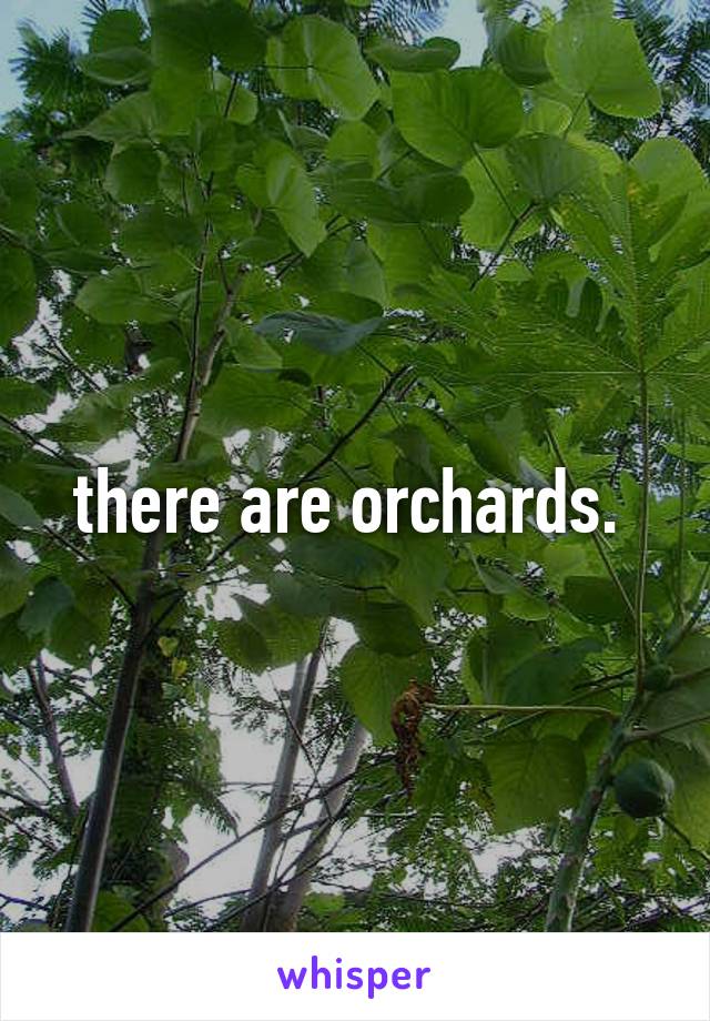 there are orchards. 