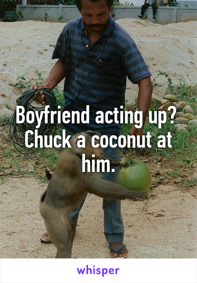 Boyfriend acting up?  Chuck a coconut at him.