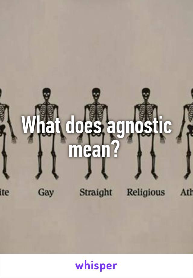 What does agnostic mean? 